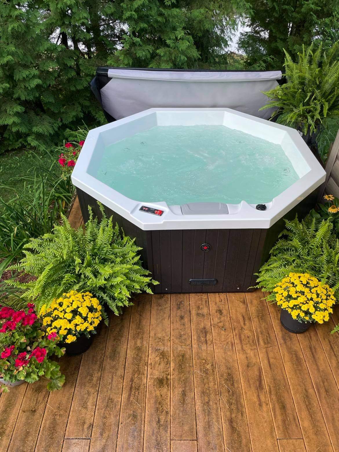 Canadian Spa Company Muskoka 5-Person 14-Jet Portable Hot Tub - Stash Shack Haven