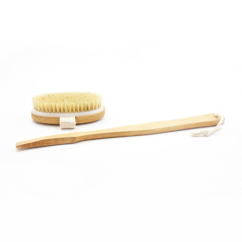 Scandia Sauna Brush - Stash Shack Haven